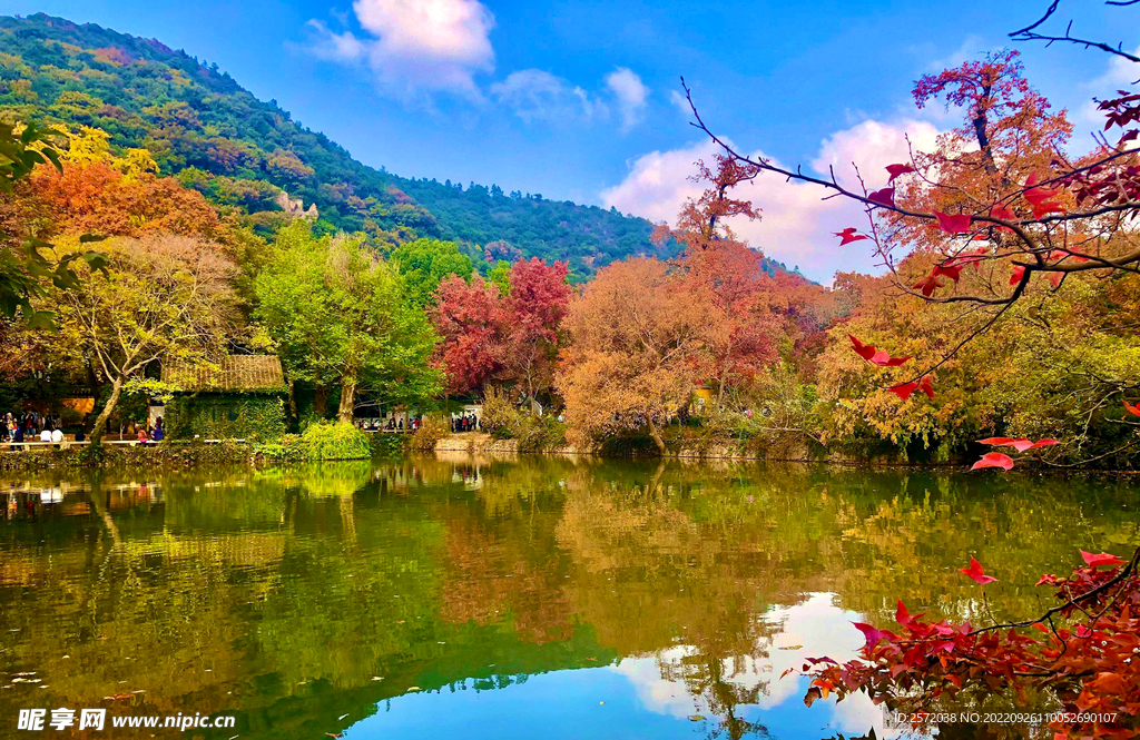 天平山秋天