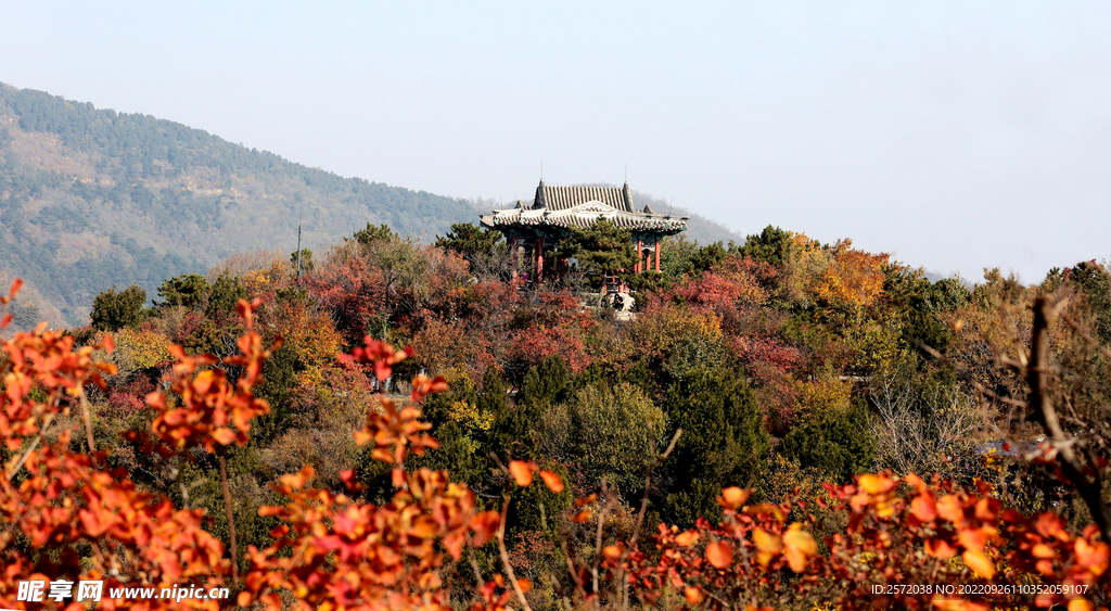 香山秋天