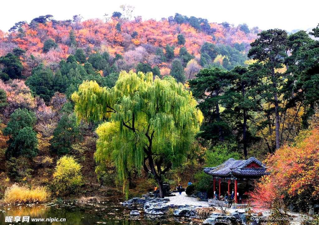 香山秋天