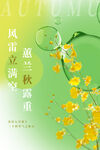 立秋二十四节气