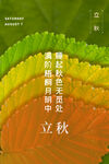 立秋二十四节气