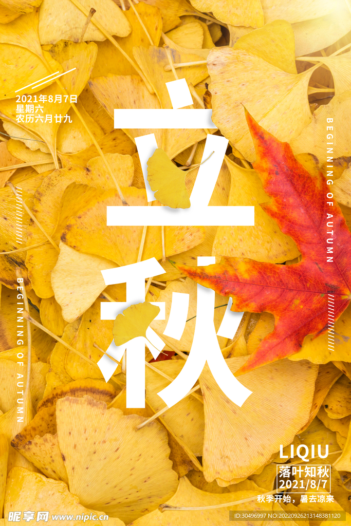 立秋二十四节气