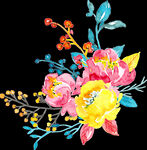 手绘花卉