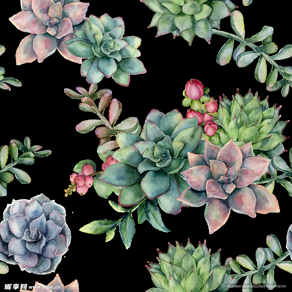 手绘花卉
