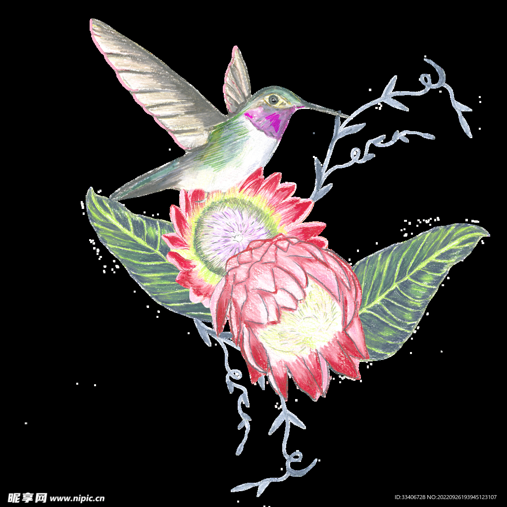 花卉背景 