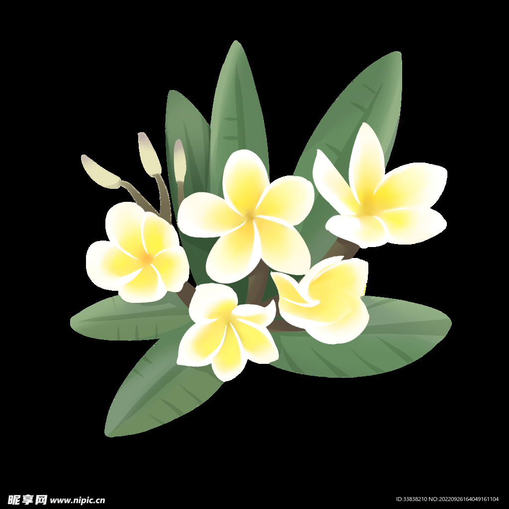 鲜花 
