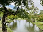 小溪河流