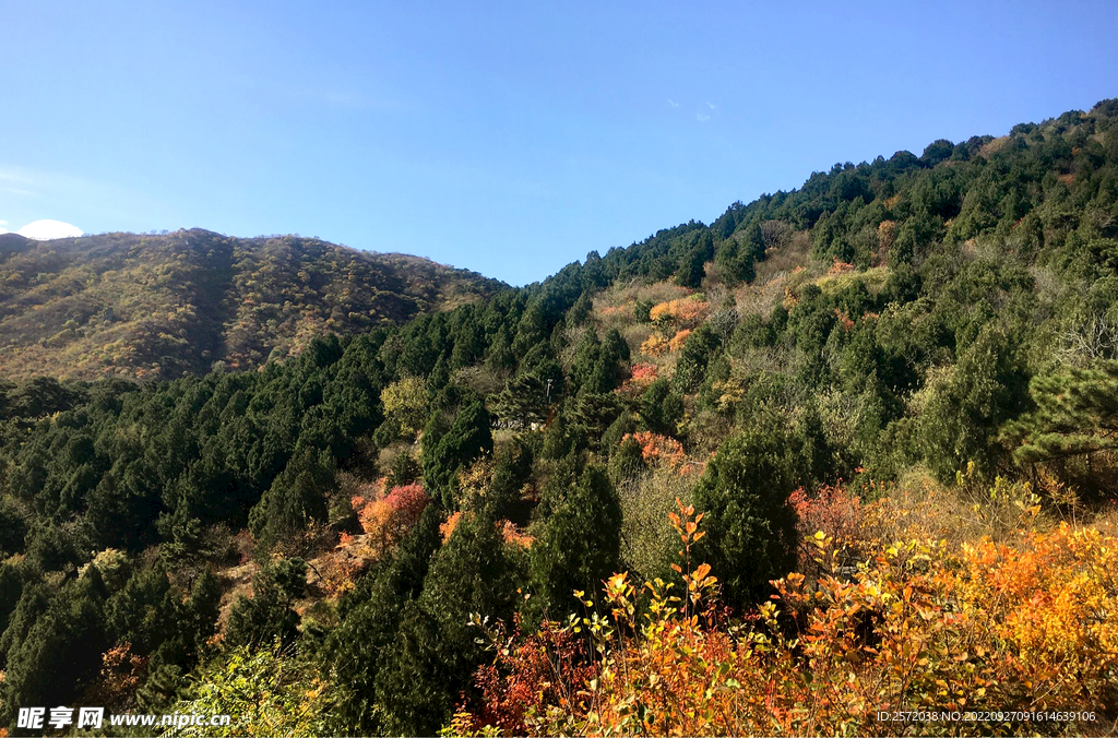 香山秋天