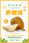 新鲜榴莲海报