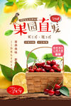 车厘子海报
