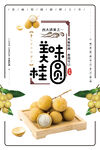 桂圆海报