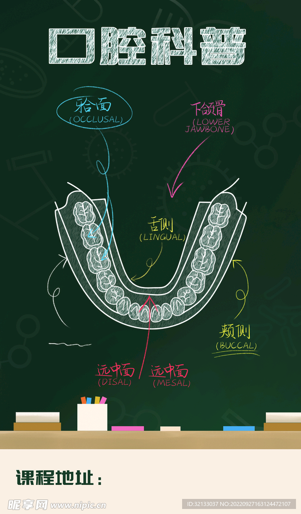 口腔课程