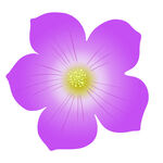 紫色花朵手绘