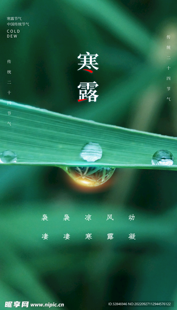 寒露海报