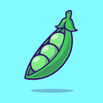 豌豆矢量插画