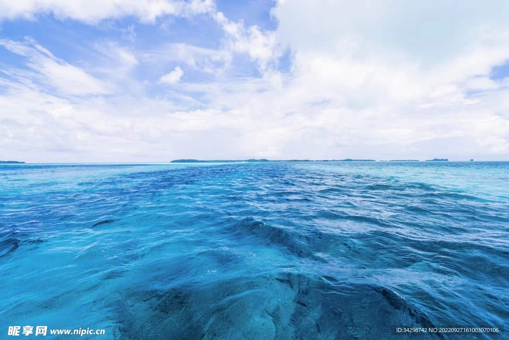 大海