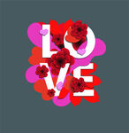  love 爱