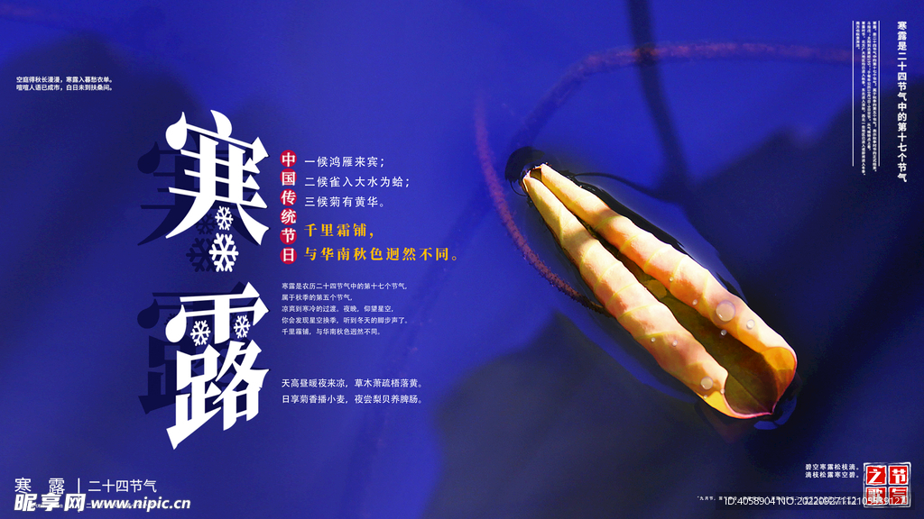 寒露
