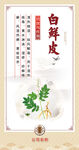 中草药  海报素材  中医文化