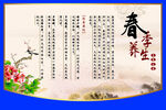 中草药  海报素材  中医文化