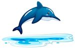 海豚