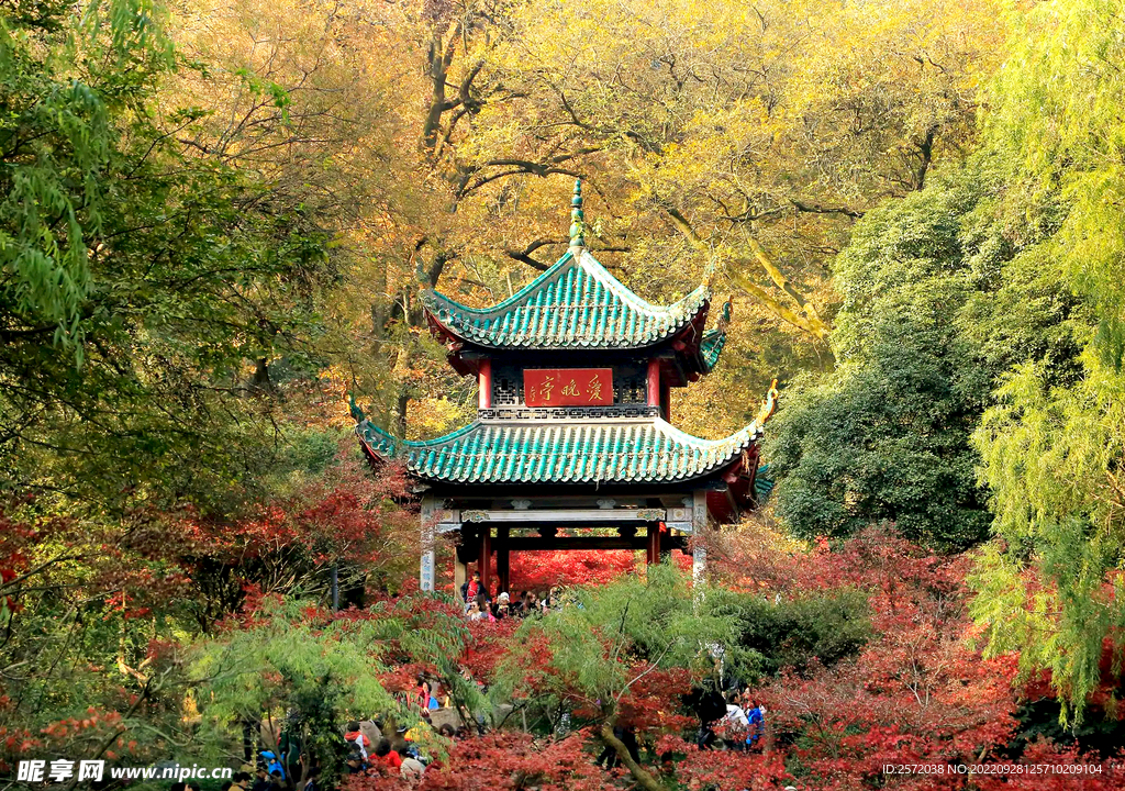 岳麓山秋天