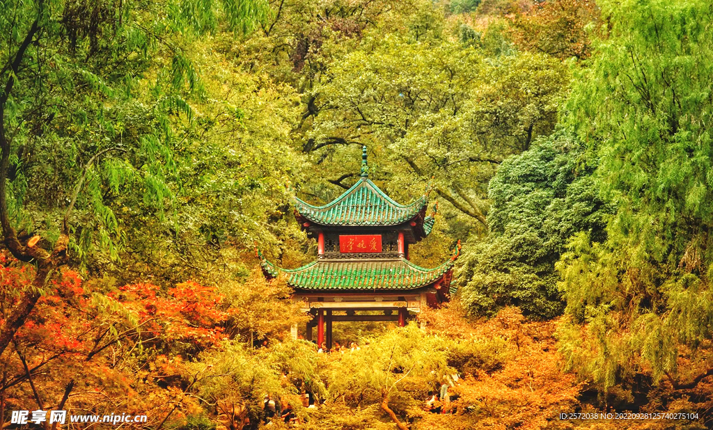 岳麓山秋天