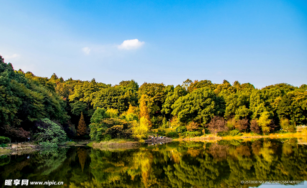 岳麓山秋天