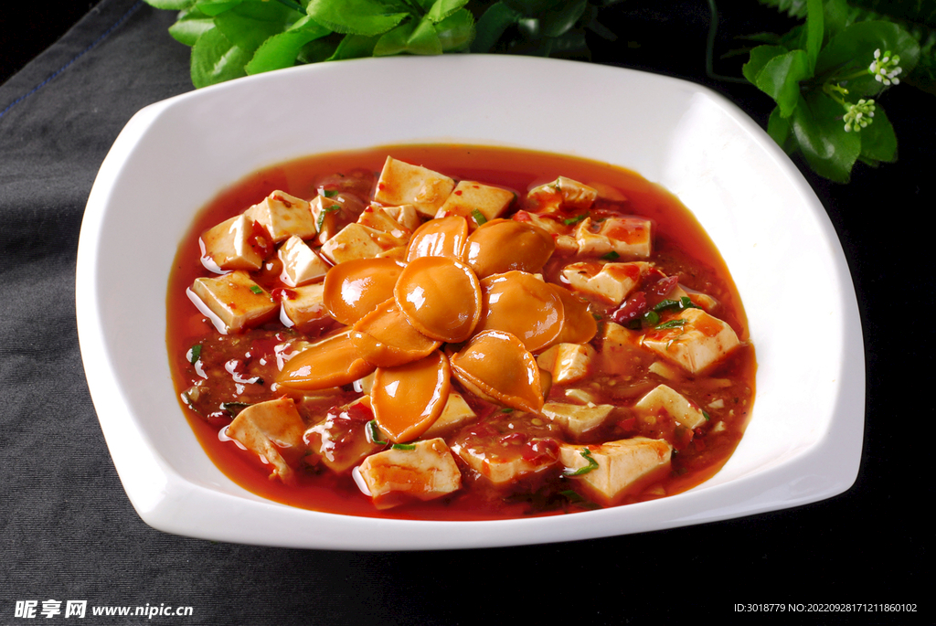 麻婆豆腐