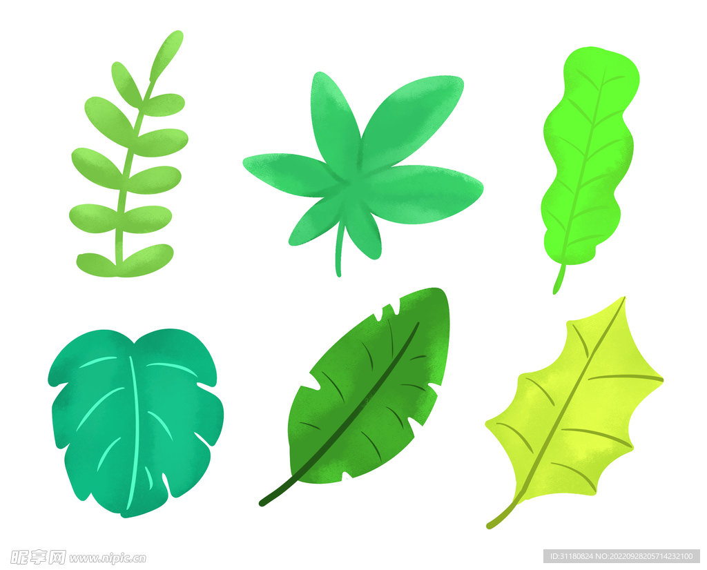 手绘植物花朵叶子矢量元素图片素材免费下载 - 觅知网
