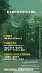 森系海报