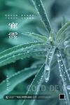 寒露节气海报