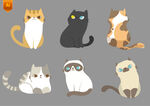 卡通猫咪插画