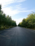 公路
