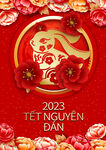 兔年  