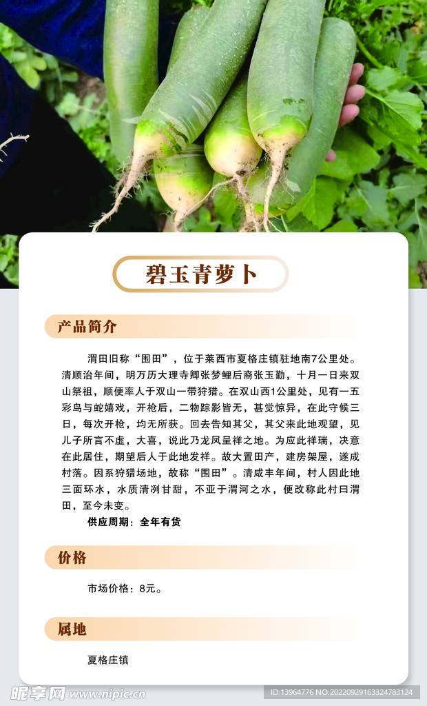 青萝卜海报