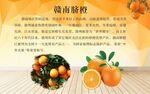 赣南脐橙
