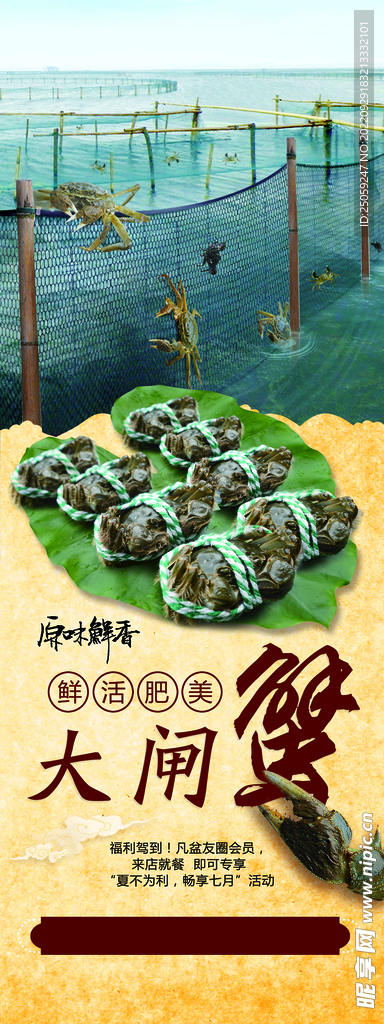 大闸蟹展架