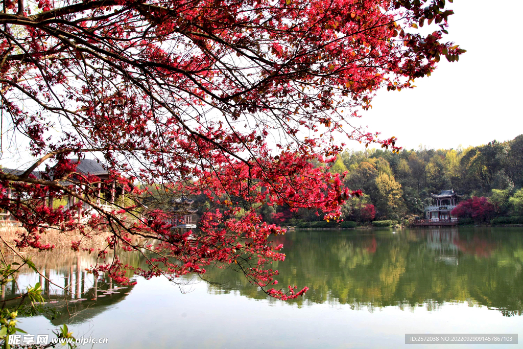 岳麓山穿石坡湖