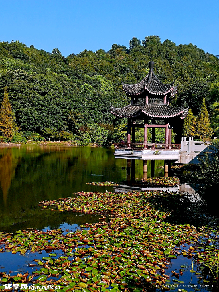 岳麓山穿石坡湖