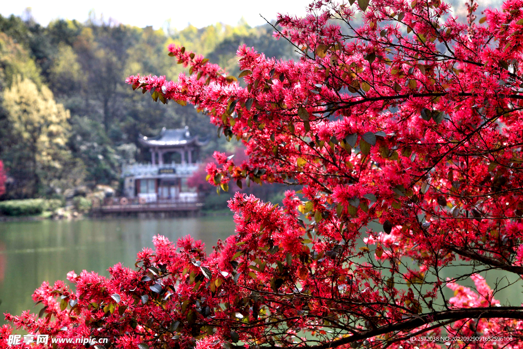 岳麓山穿石坡湖