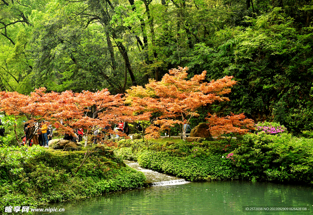 岳麓山秋天