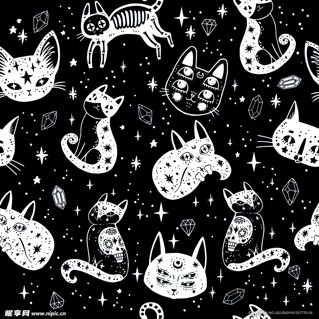 大牌  猫