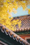 古建筑故宫