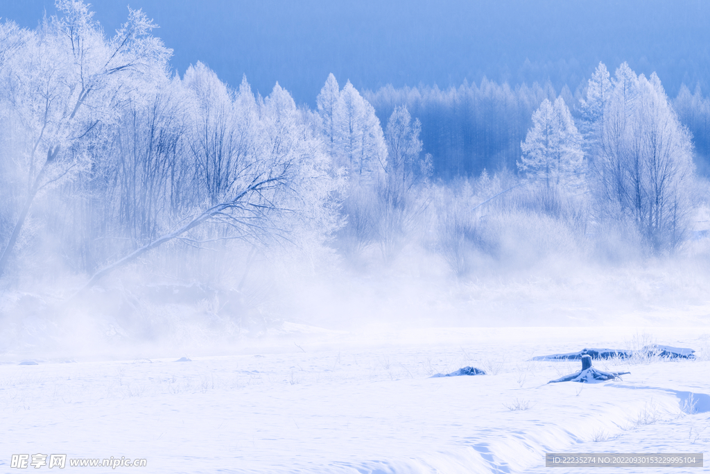 东北房屋雪景