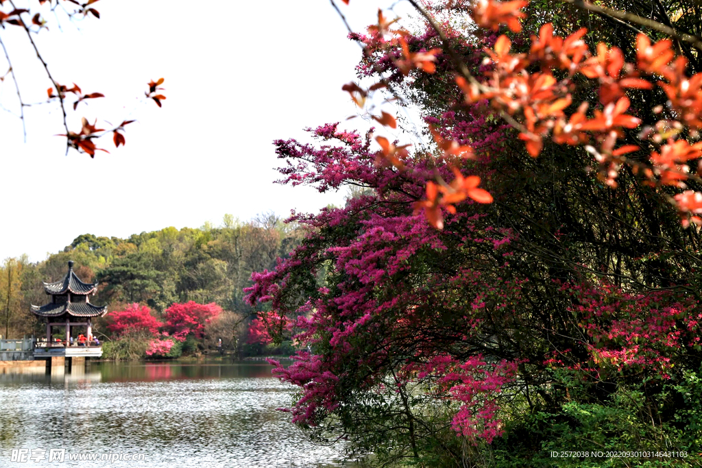 岳麓山穿石坡湖