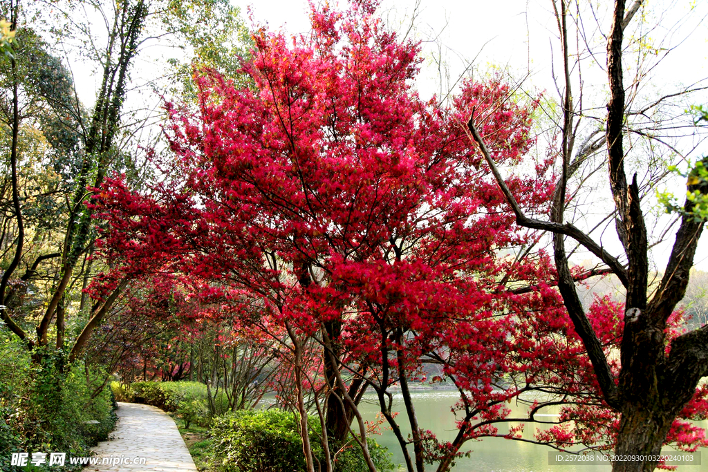 岳麓山穿石坡湖