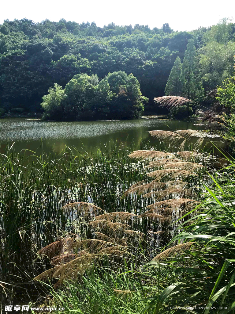 岳麓山穿石坡湖