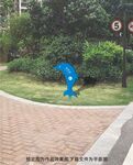 草地牌游泳池指示牌