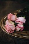 玫瑰花 